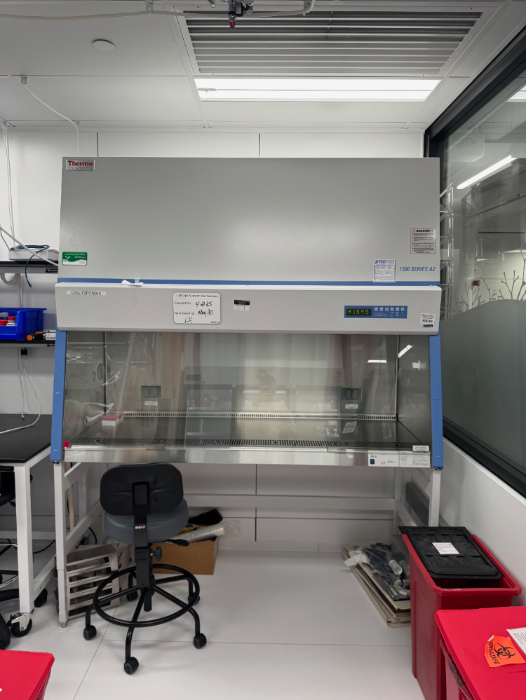 Image of Thermo 1300 Series A2 6' BioSafety Cabinet
